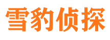 雅安市出轨取证